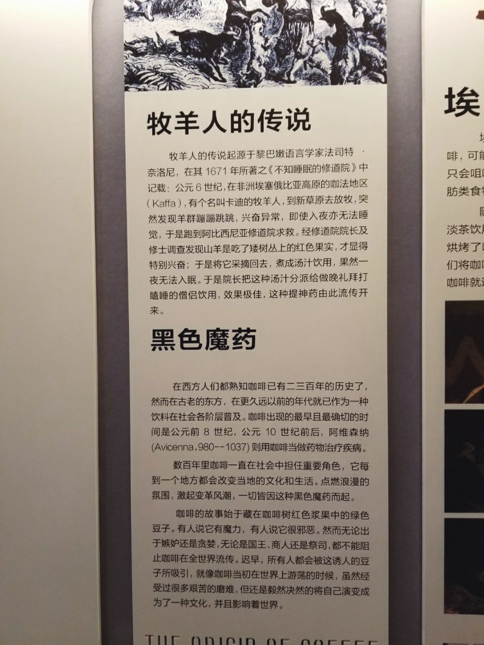 去云南适合买什么茶,云南最有名的咖啡在哪里