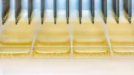 基因重组可以产生新物种吗,基因重组会产生新的基因吗