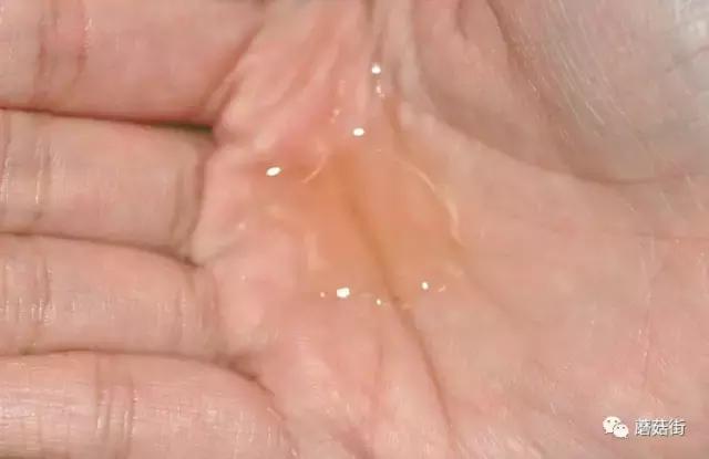 十大好用护肤水,十大公认最好的护肤水