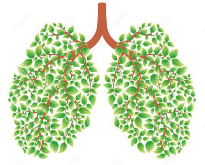 支气管炎的最佳调理方法,支气管炎怎么治小妙招
