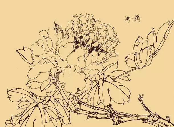白描花卉技法基础入门,白描花卉简单入门