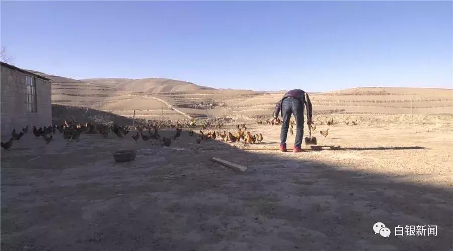 探访80后创业者平川区黄峤镇峤山村村民贠建诚