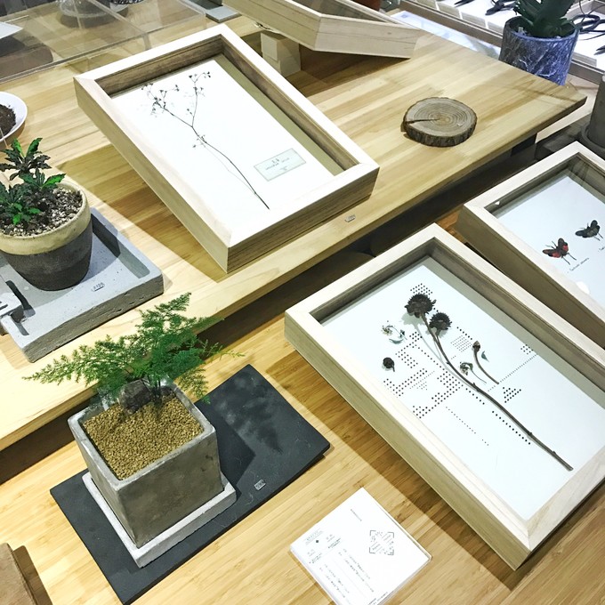 游记成都市内2日行,成都三日吃住行详细攻略