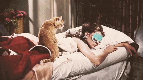 雅诗兰黛小棕瓶精华露与精华液,雅诗兰黛小棕瓶和sk2神仙水