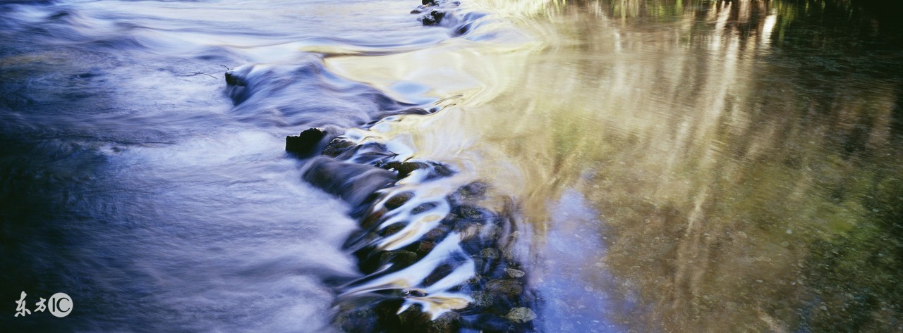 青岛大虾事件段子,青岛大虾真实故事