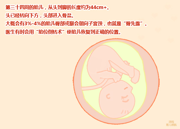 怀孕9周肚皮紧绷是怎么回事,孕妇怀孕9个月肚子特别紧