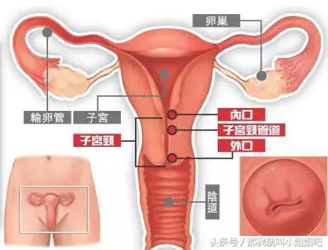 明明怀孕了却什么反应也没有,为什么怀孕孕囊会空的