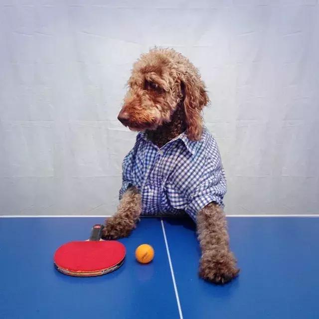 华裔马格南摄影师,马格南最年轻的摄影师