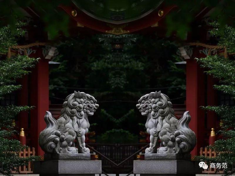 13个大牌出的狗年限定款，总有一个能亮瞎狗眼