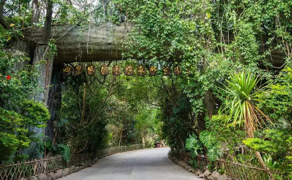 这个元旦，我要从南走到北，看看这大大的中国！