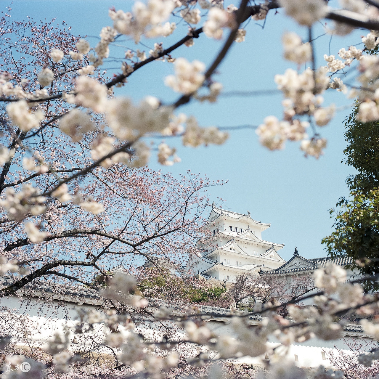 一个人在日本的真实感受,只有在日本才能见到的东西