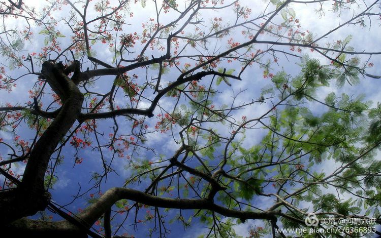印度尼西亚巴厘岛印度教寺庙,巴厘岛最田园的热带风景