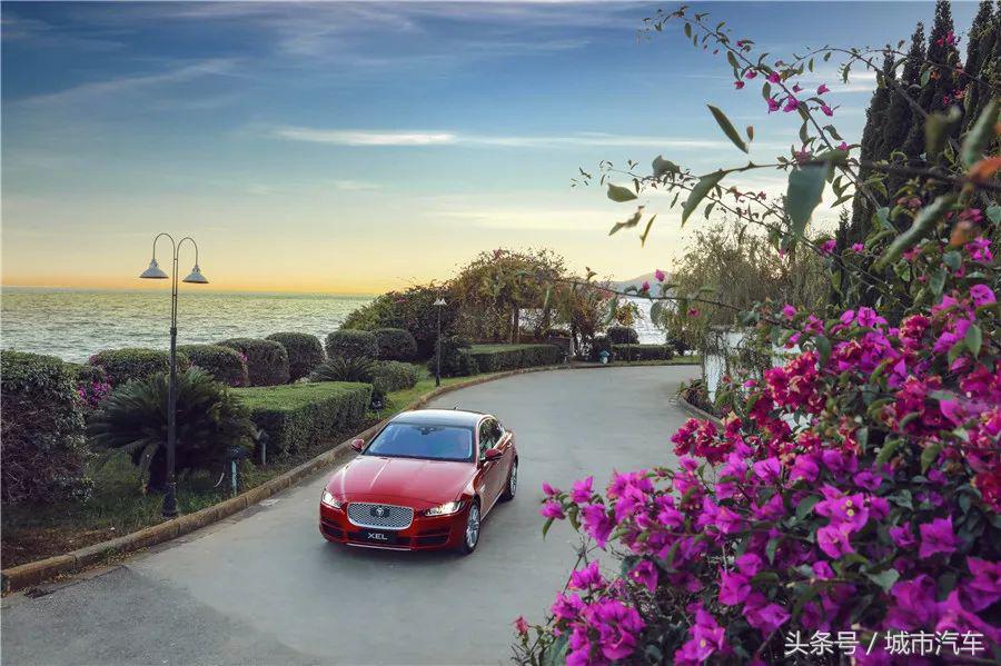 捷豹xel车头的豹子,均衡的豹子试全新捷豹xel