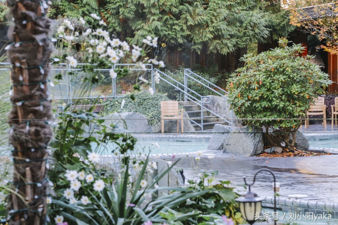 维多利亚水廊旅游,加拿大旅行景点