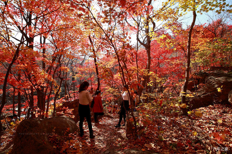 家乡之美美篇,家乡之美原唱完整版