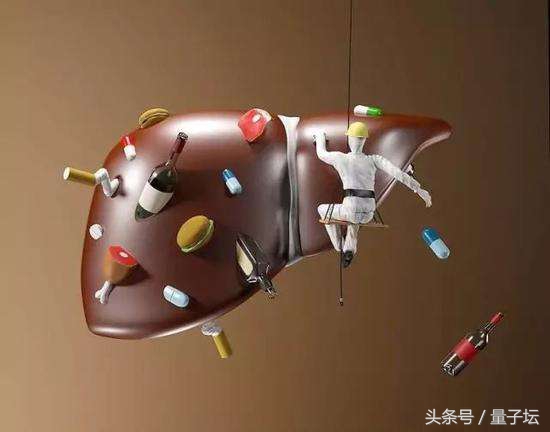 总胆红素偏高怎样调理最好,间接胆红素偏高要怎么调理