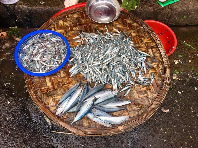 一个人越南攻略,一个人越南自驾游纪录片