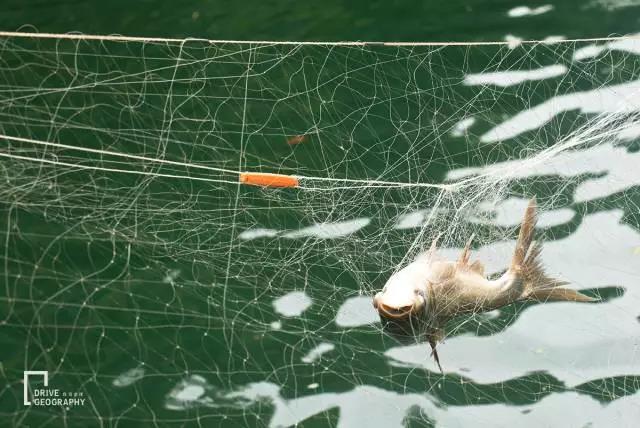 元旦最适合旅行的地方,元旦带家人去哪里玩好