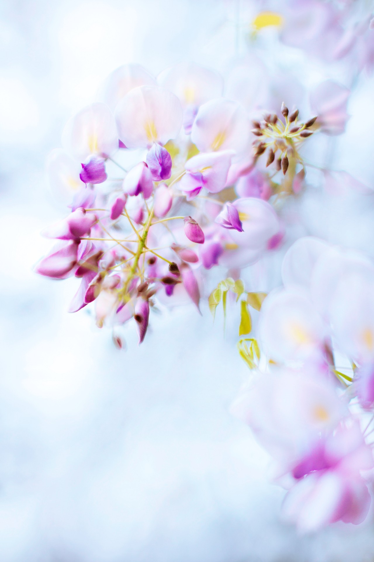 拍摄作品如何投稿人像摄影,摄影作品编辑技巧有哪些