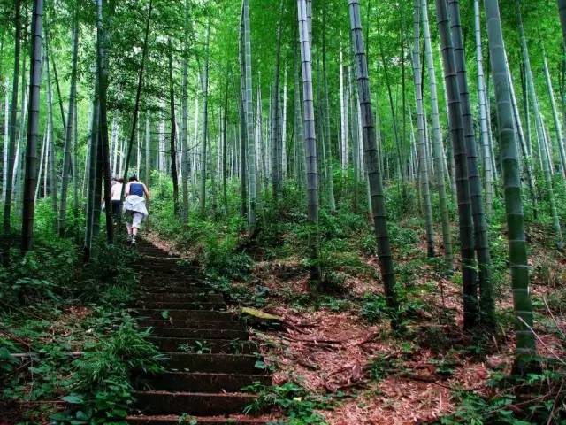 我叫杭州,这是我最新的简历,请多关照~