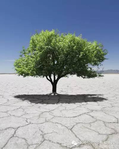 ps软件抠图教程详细步骤,ps多边形工具抠图放大