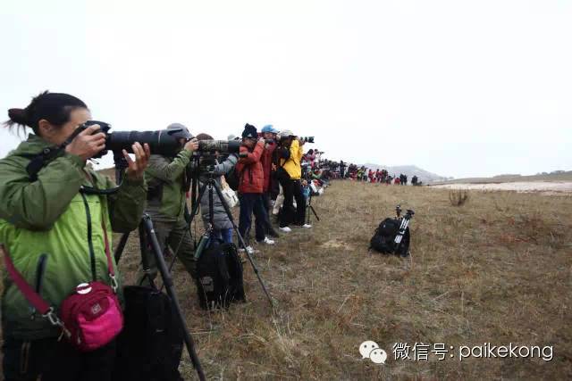 摄影狗，没女友，见了都得绕着走｜推荐