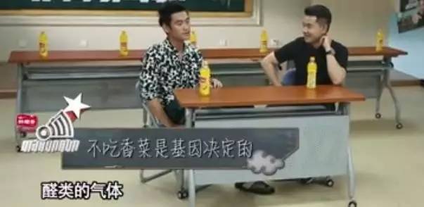 朴海镇宋茜,宋茜王鹤棣孙天宇玩梗综艺