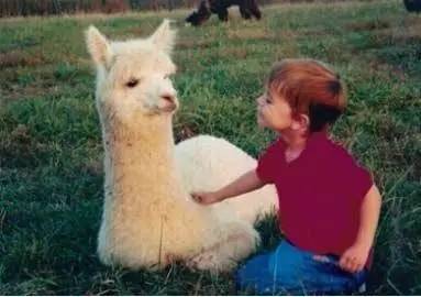 辣词|制杖、贩剑和搞矛,看到哪个脏词你娇嗔了