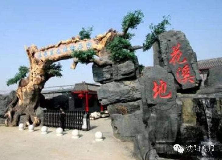 沈阳最漂亮的十大美人,沈阳女孩最漂亮的照片