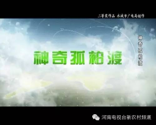 遇见孤柏渡，会有怎样的故事？丨“孤柏渡·经典游”获奖作品展播（6）