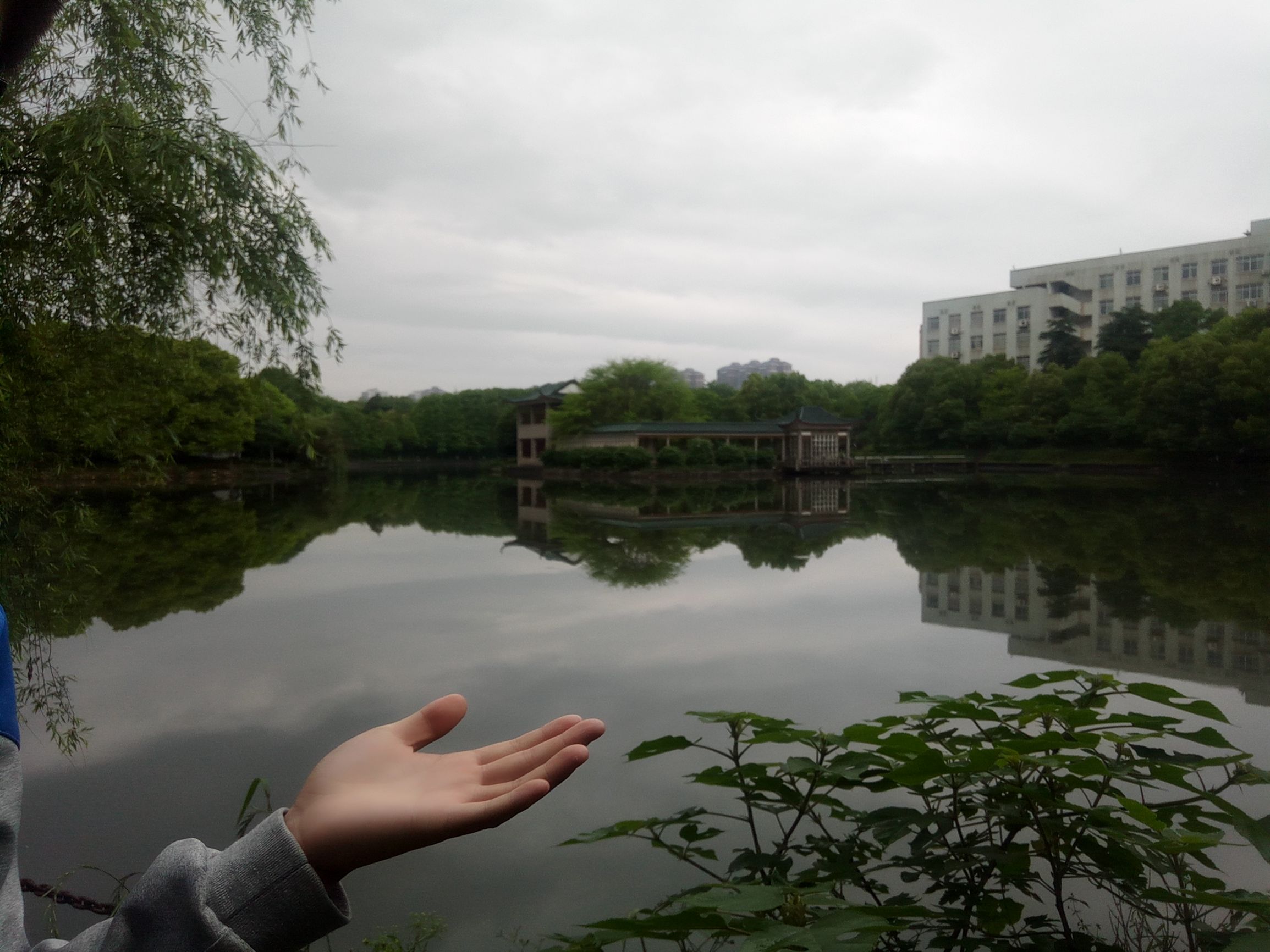 杨幂李易峰代言的手机oppo,李易峰代言oppo手机现在的价格