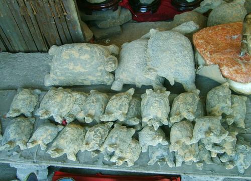 这才是真正的奇石,真正的奇石都是什么样子的