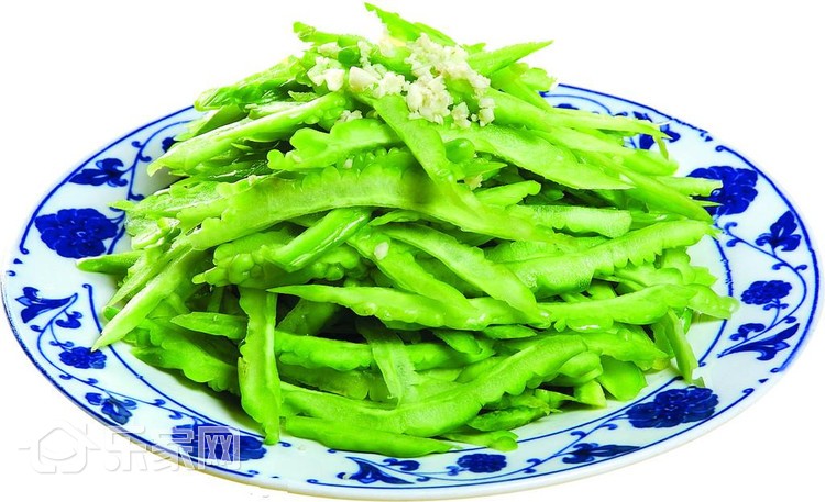 不可思议的冰箱,冰箱真的能养鱼吗