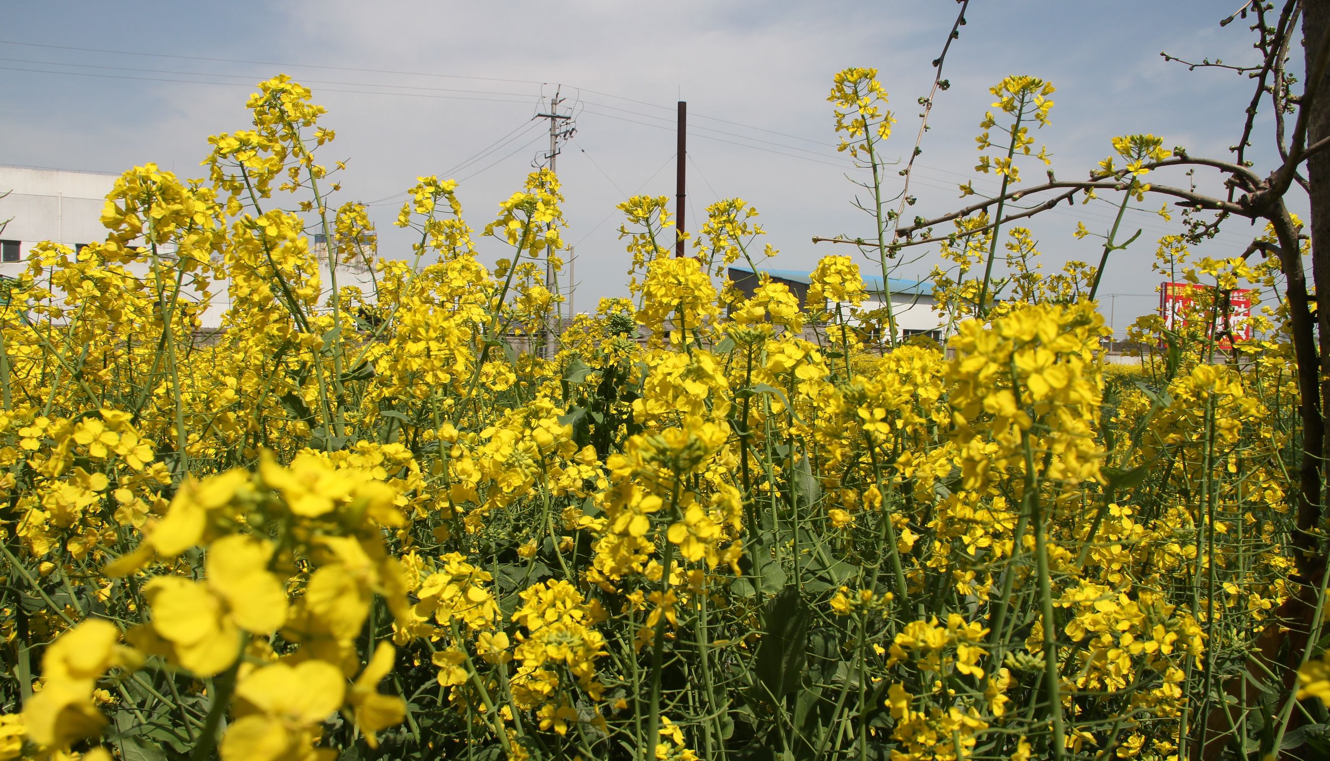 三星s7对比5s,三星s7e和note7