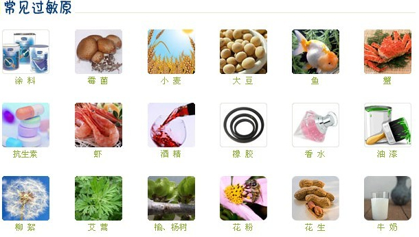 防过敏bb霜遮瑕防晒,bb过敏会出现什么症状