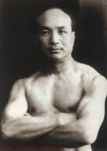 民国汉奸褚民谊,大汉奸褚民谊枪毙时白鹤亮翅