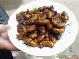 80后儿时的美食记忆,80后记忆中的美味零食你吃过几种