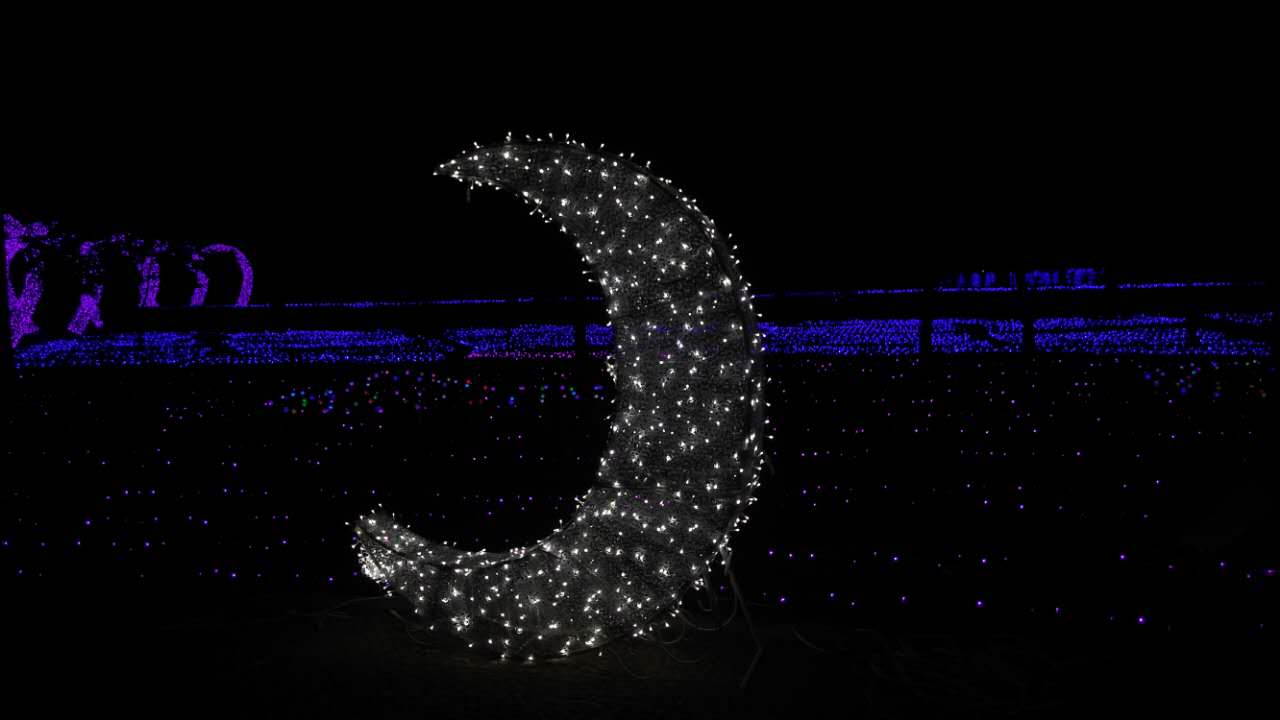 亿万星光点亮世纪欢乐园“奇幻之夜”光影盛宴