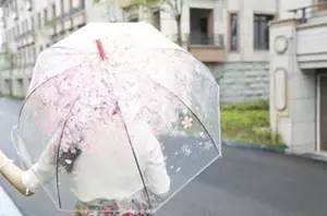 武汉最美的是几月,雨后最美的武汉