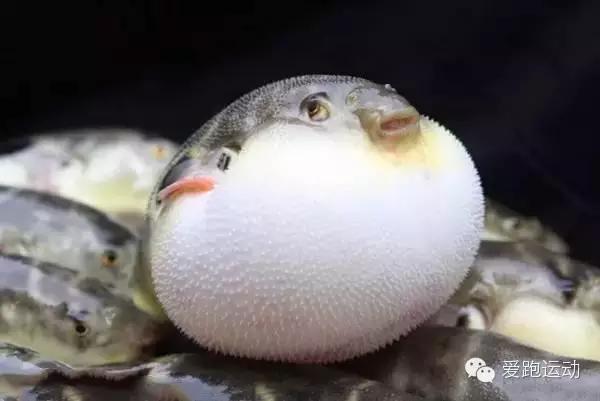 跑步,你穿错*裤内**了吗?——致跑男