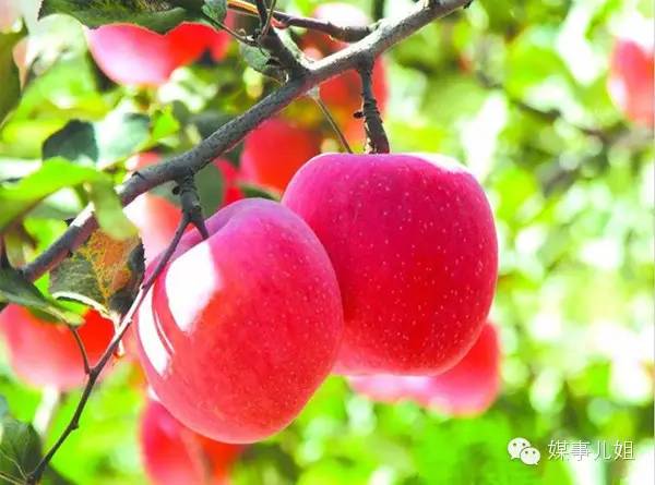 包钢三中真的要改名吗,包钢三中整体成绩怎么样