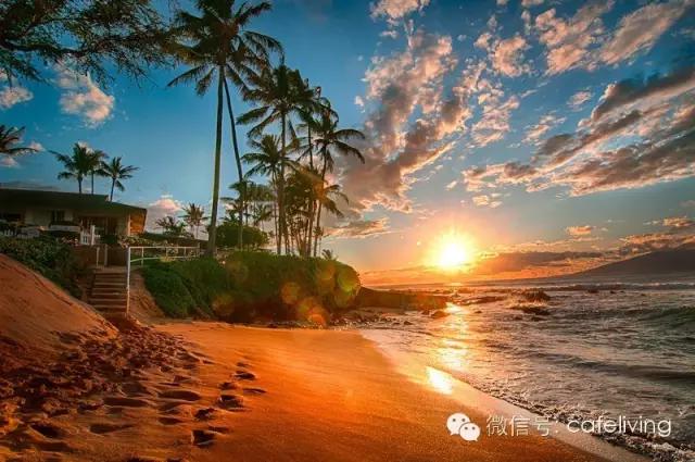 欢乐颂安迪吃邱莹莹做的饭,欢乐颂安迪给邱莹莹的咖啡