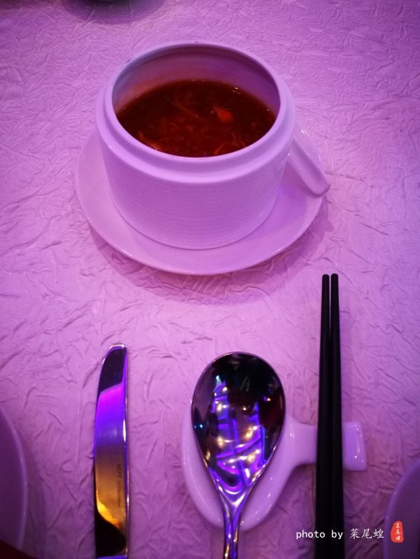 珊瑚海日本,陪你去看海底世界