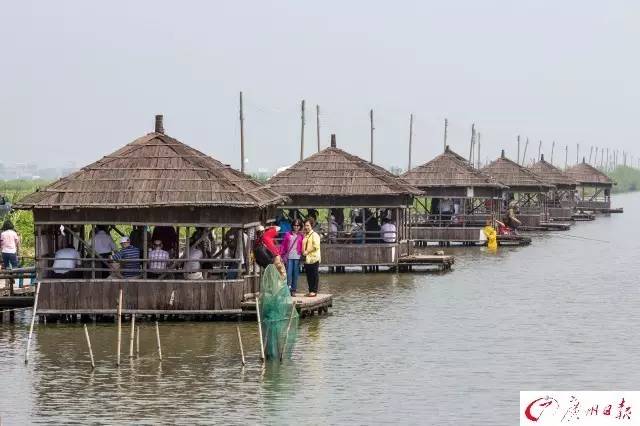 佛山附近比较坑的旅游小岛,佛山周边海岛游推荐小众