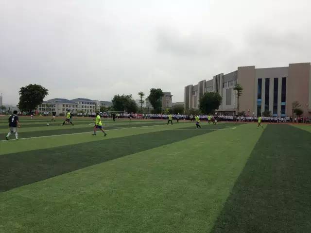 前国足门将区楚良哪里人,原足球门将区楚良近况