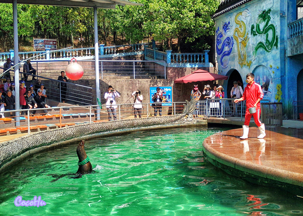 中南百草原景区动物园,中南百草原景区动物
