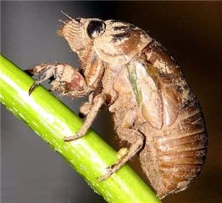 80后儿时的美食记忆,80后记忆中的美味零食你吃过几种