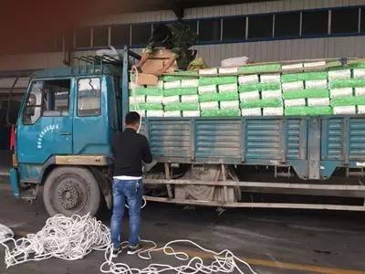 匠心品质的手工挂面,挂面传承百年技艺感受乡愁味道