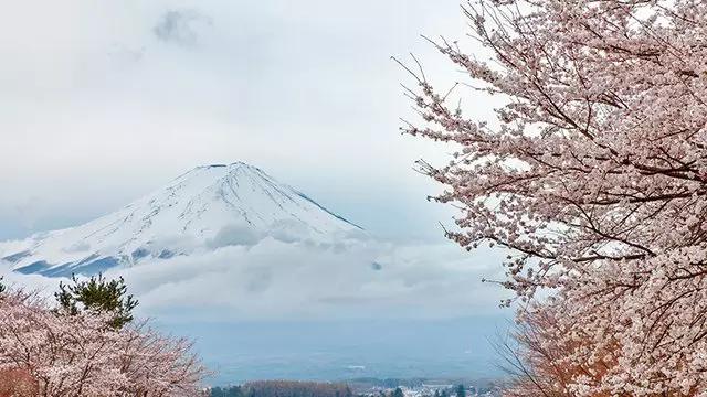 旅游购物退税需要机票吗,出国购物退税全攻略