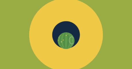 新疆天山雪豹足球比赛最新消息,天山雪豹vs广州恒大